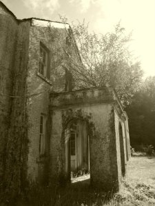 223764_774804204735_2449481_n