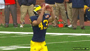 THE-MORTIFIED-PUNTER1