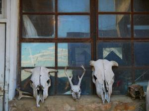 374790_10100127015552345_1743722318_n