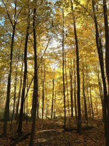 385010_10100116768043435_148799644_n