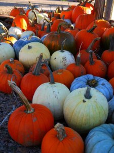 550427_10100127016739965_623063212_n