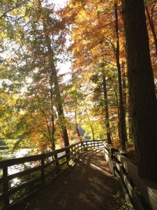 557168_10100111065895585_2043205287_n - Copy