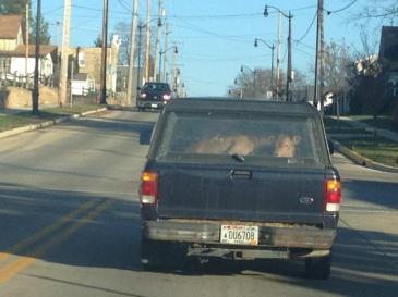 644084_10100125594230685_535874386_n