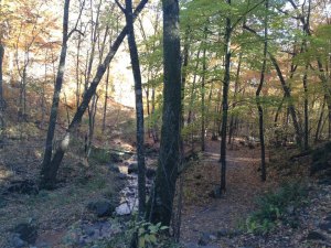 644102_10100116769091335_1085190008_n