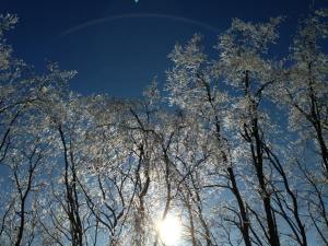 1476445_10100399083236525_620240967_n