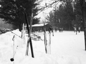 1509211_10100407359475875_1718564115_n