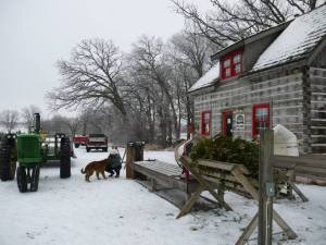 1525780_10100397526246745_1251648334_n